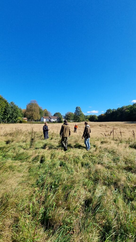 Ytan där vi kommer anlägga ett agroforestrysystem.